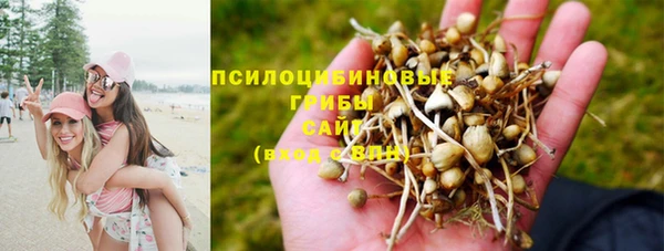 apvp Абинск