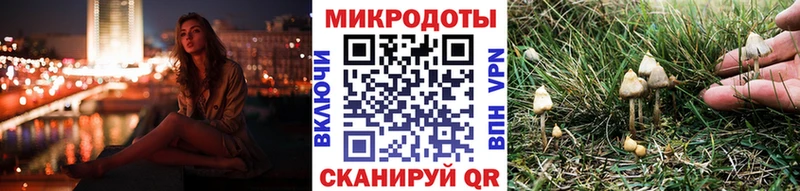 наркошоп  Кадников  Галлюциногенные грибы Psilocybine cubensis 